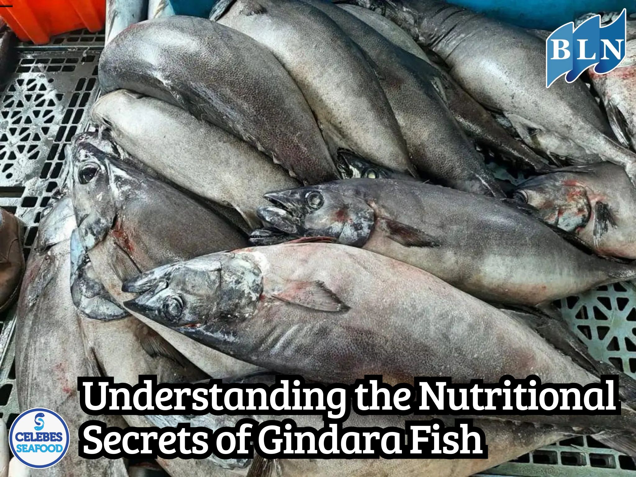 Understanding the Nutritional Secrets of Gindara Fish: A Rich Source of Omega-3 and High Protein
